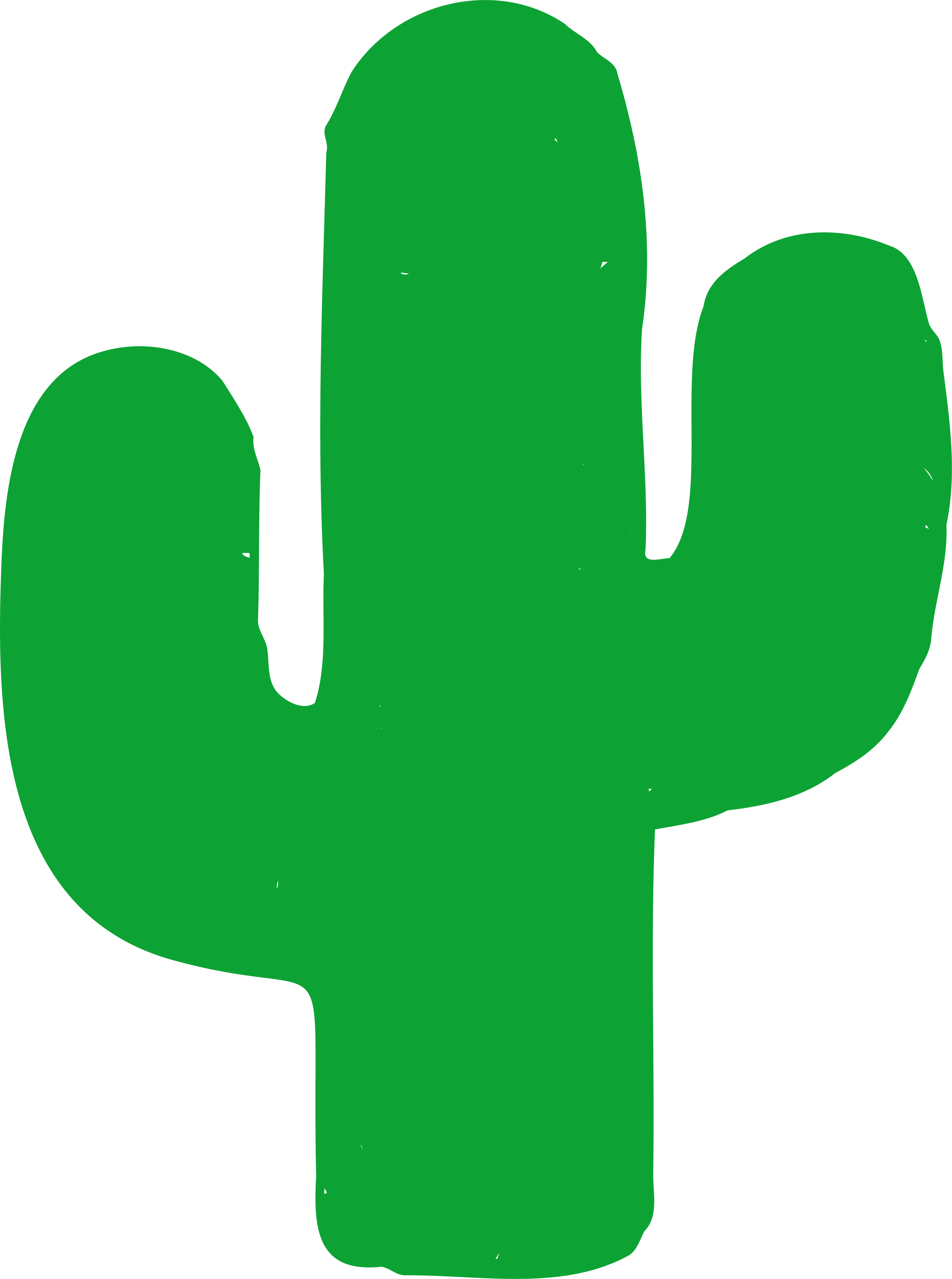 Green cactus illustration